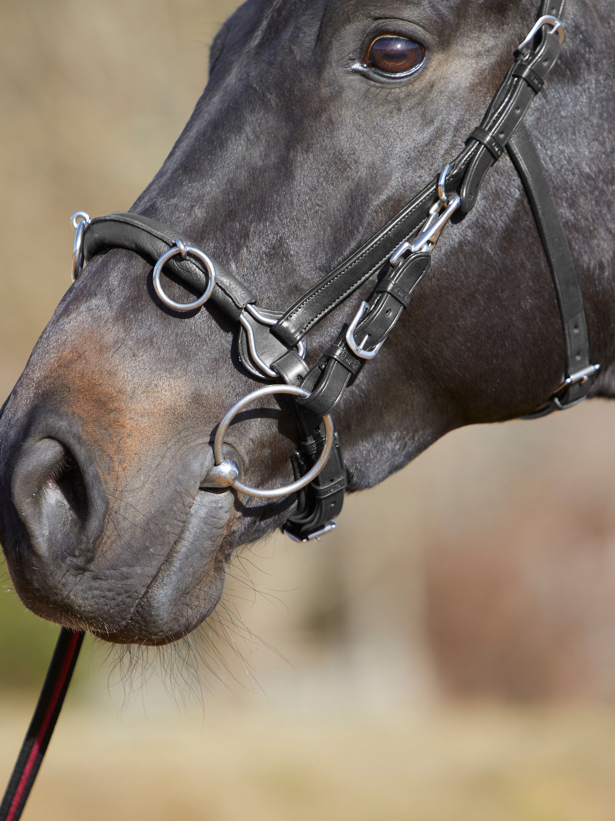 Detailfoto Kappzaum Kieffer Ultrasoft® am Pferd