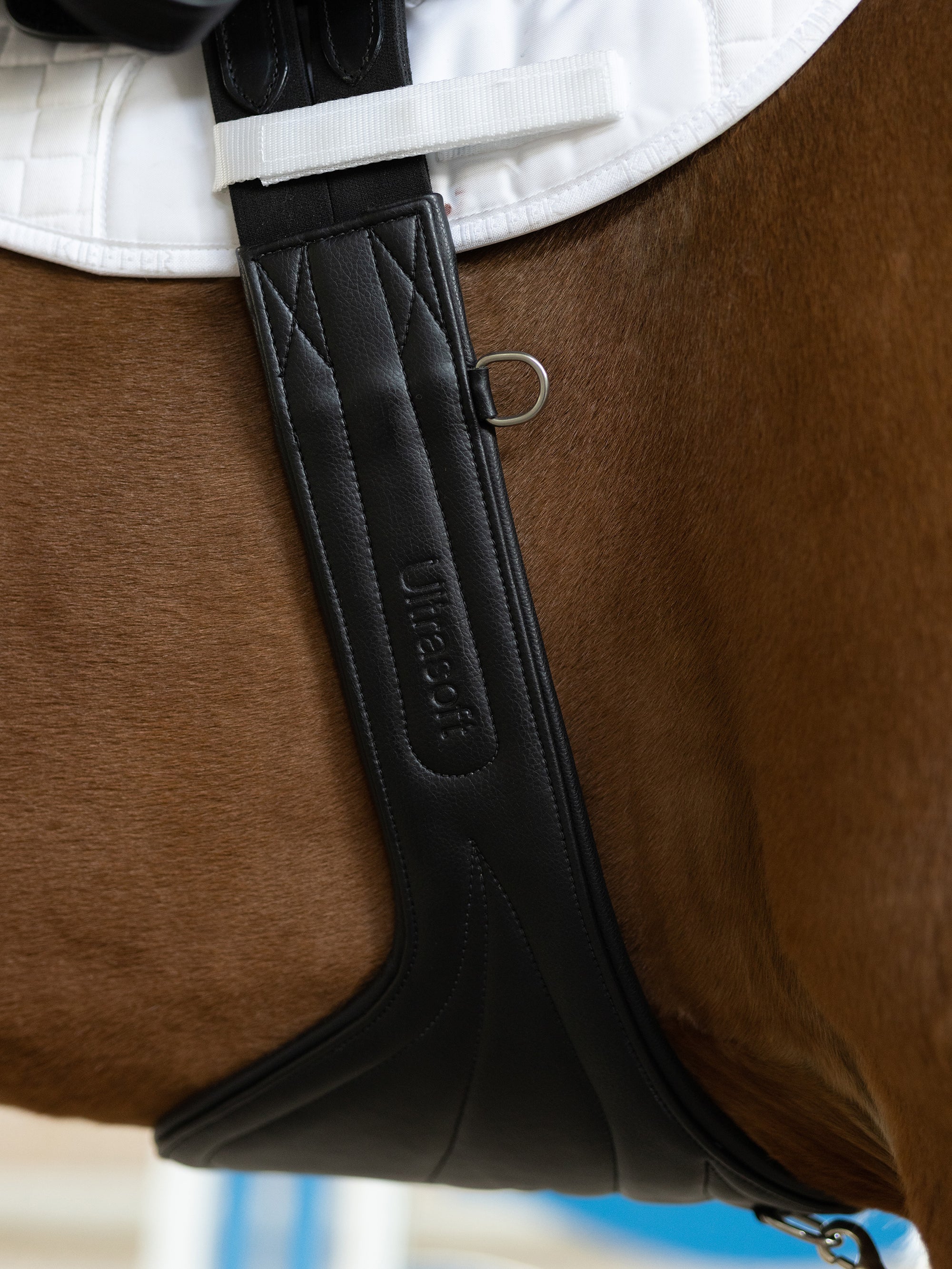 Stollenschutzgurt Kieffer Ultrasoft® in Schwarz am Pferd