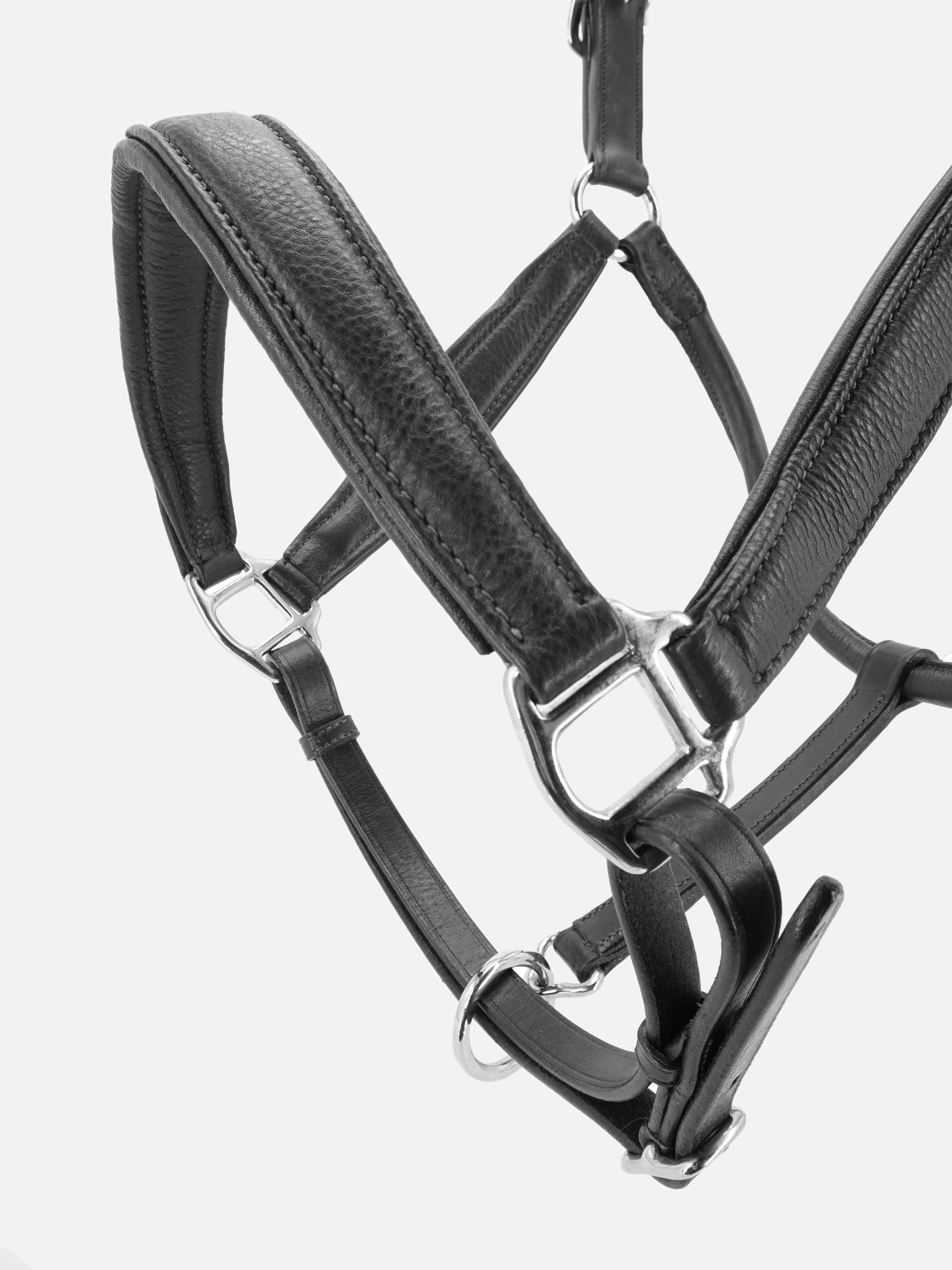 Detailfoto Leder-Stallhalfter Kieffer Ultrasoft® in Schwarz: Nasenriemen