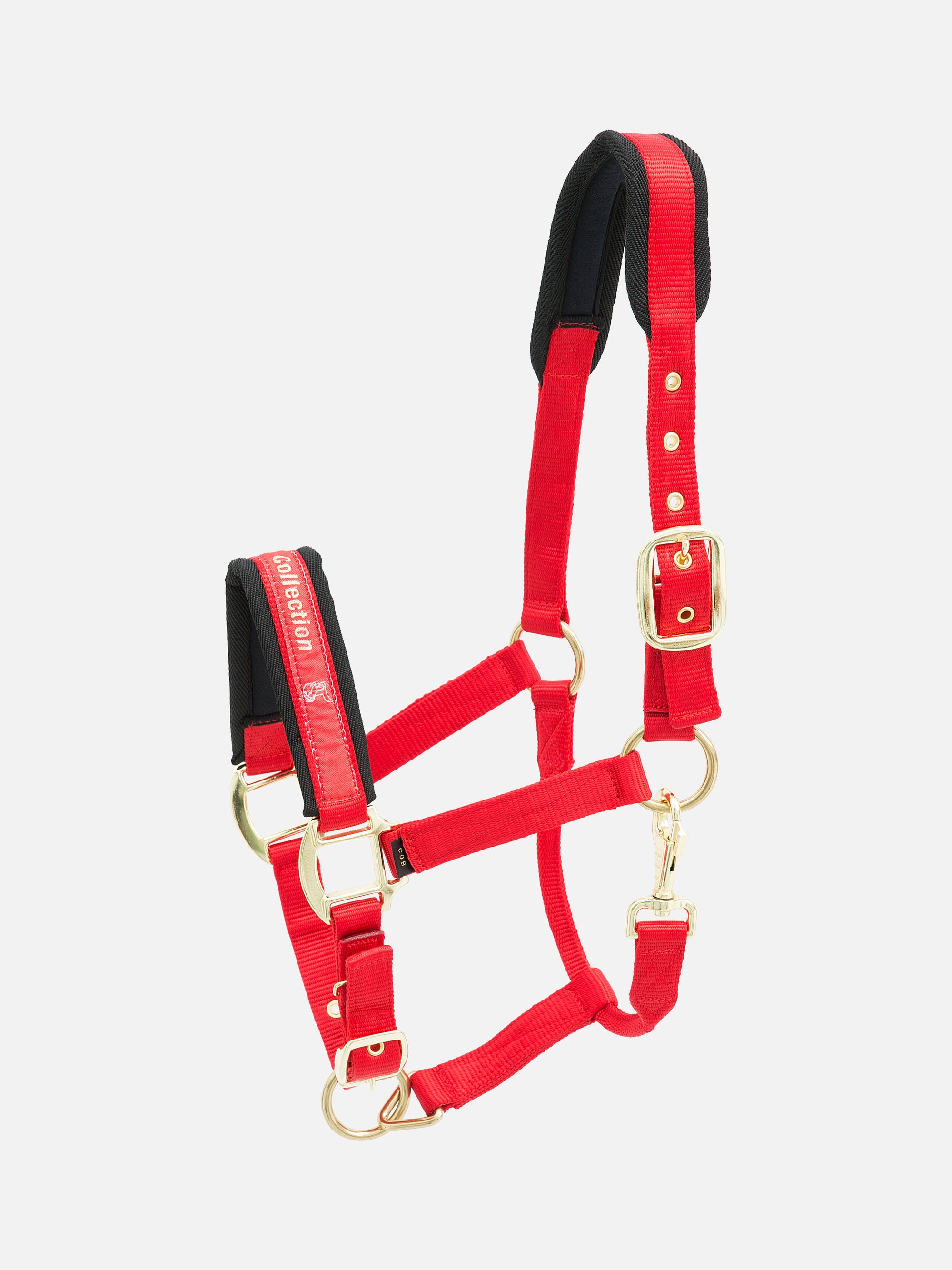 Nylon-Stallhalfter Collection in Rot mit messingfarbenen Beschlägen