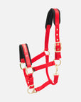 Nylon-Stallhalfter Collection in Rot mit messingfarbenen Beschlägen
