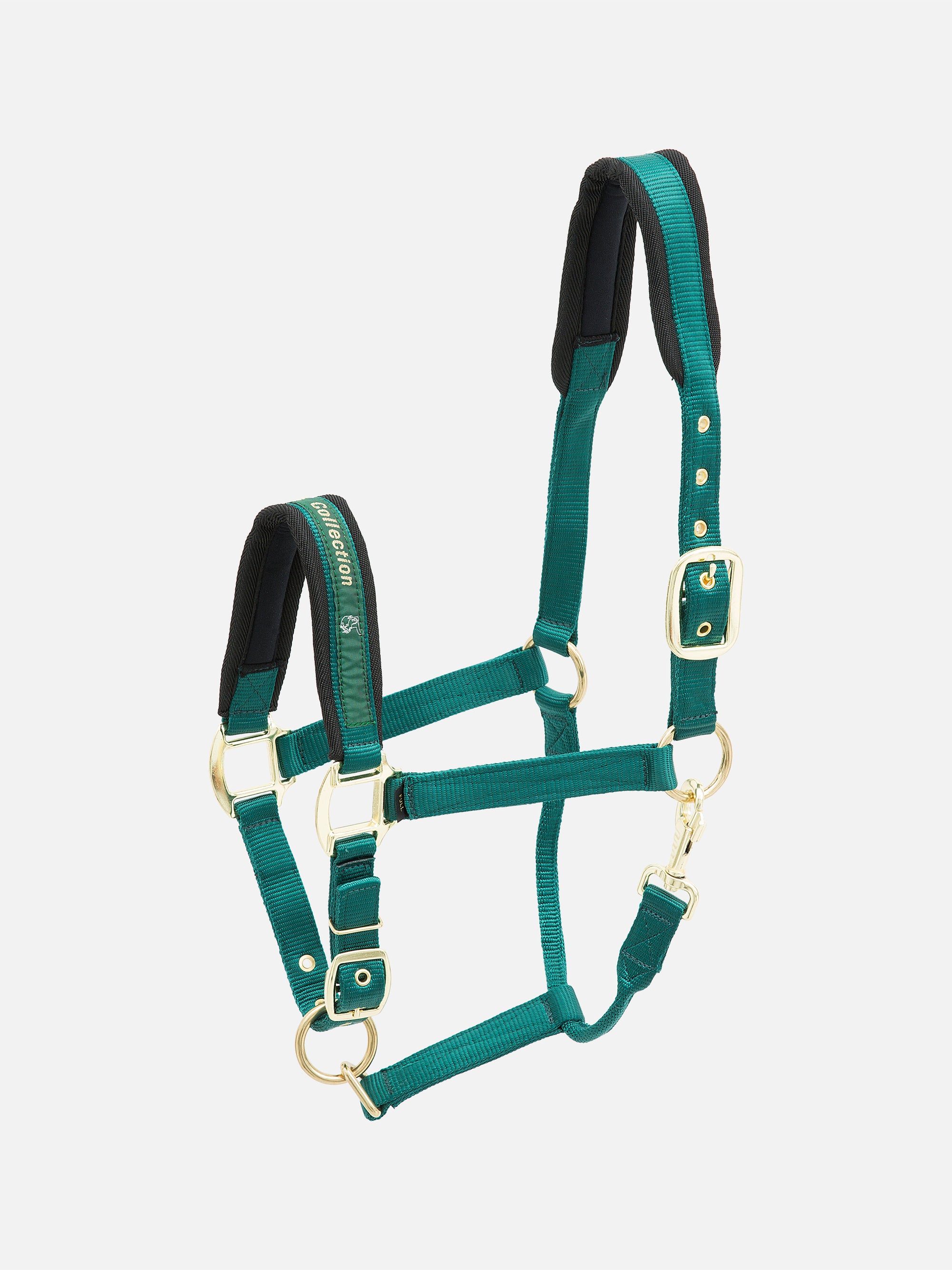 Nylon-Stallhalfter Collection in Grün mit messingfarbenen Beschlägen