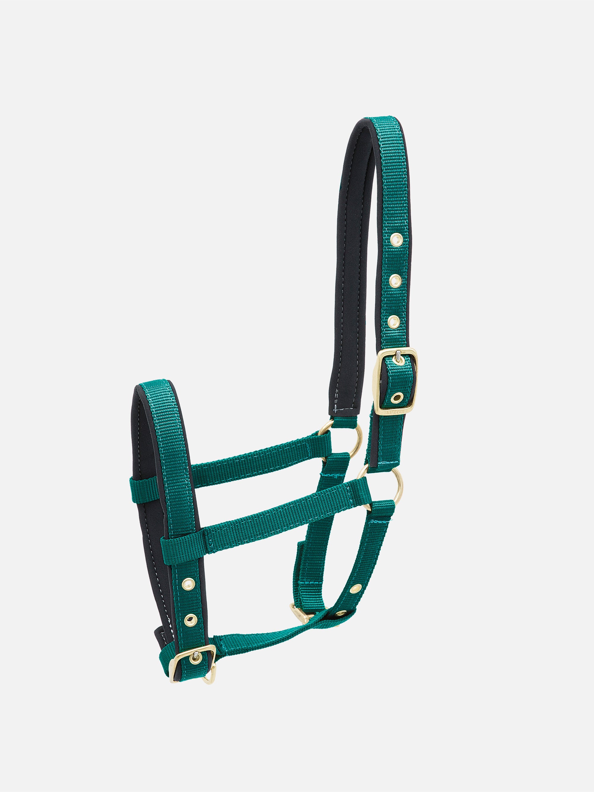 Nylon-Stallhalfter Collection extra für Fohlen in Frün mit messingfarbenen Beschlägen