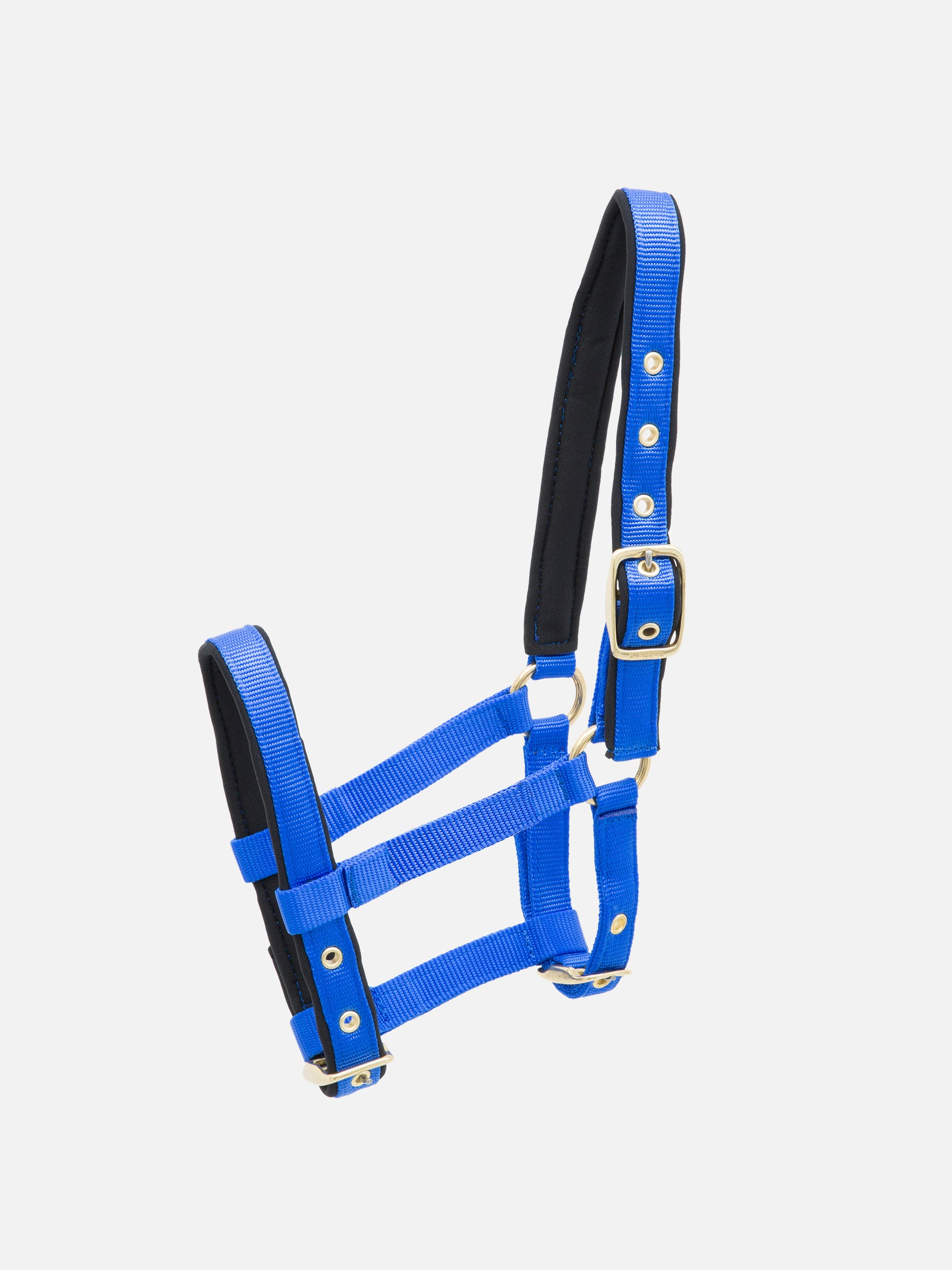 Nylon-Stallhalfter Collection extra für Fohlen in Dunkelblau mit messingfarbenen Beschlägen