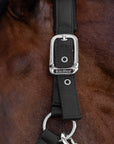 Detailfoto der Schnallen von Stallhalfter Satin Shine in Schwarz am Pferd
