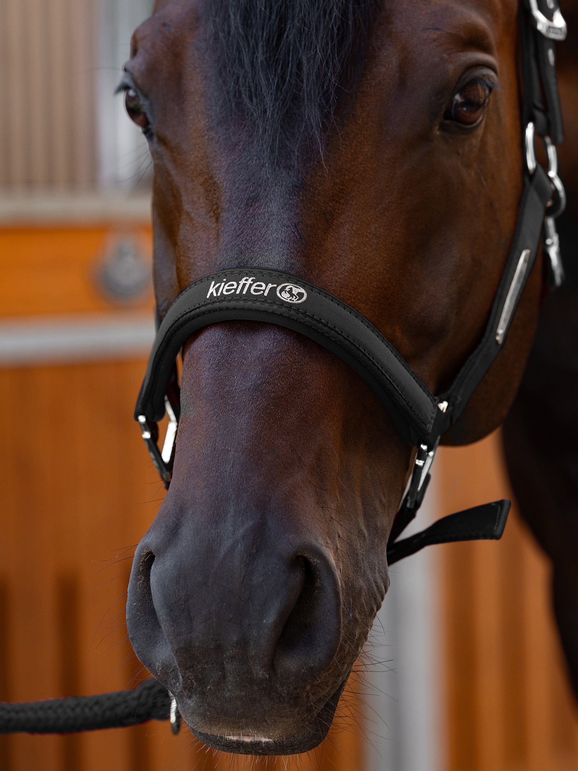 Detailfoto der Stickerei auf dem Nasenriemen von Stallhalfter Satin Shine in Schwarz am Pferd