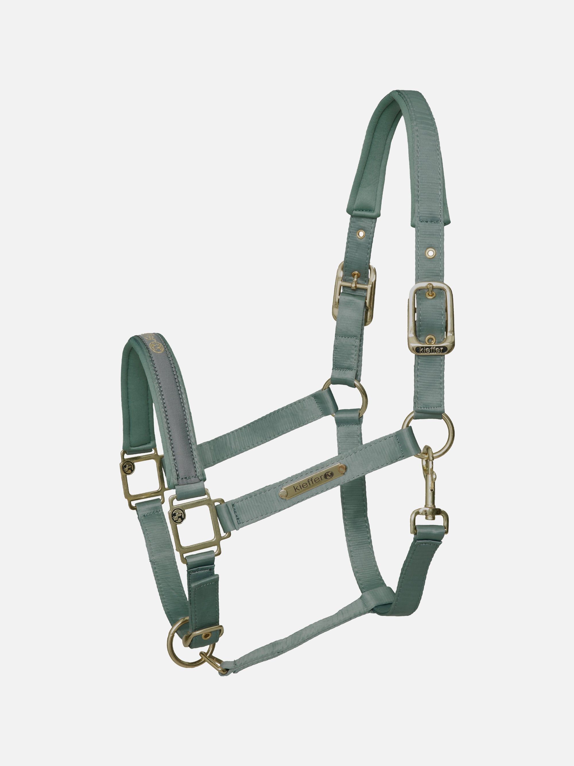 Stallhalfter Satin Shine in Mint mit Messingbeschlägen