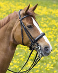 Kandare Ergonomic Line II in Schwarz am Pferd