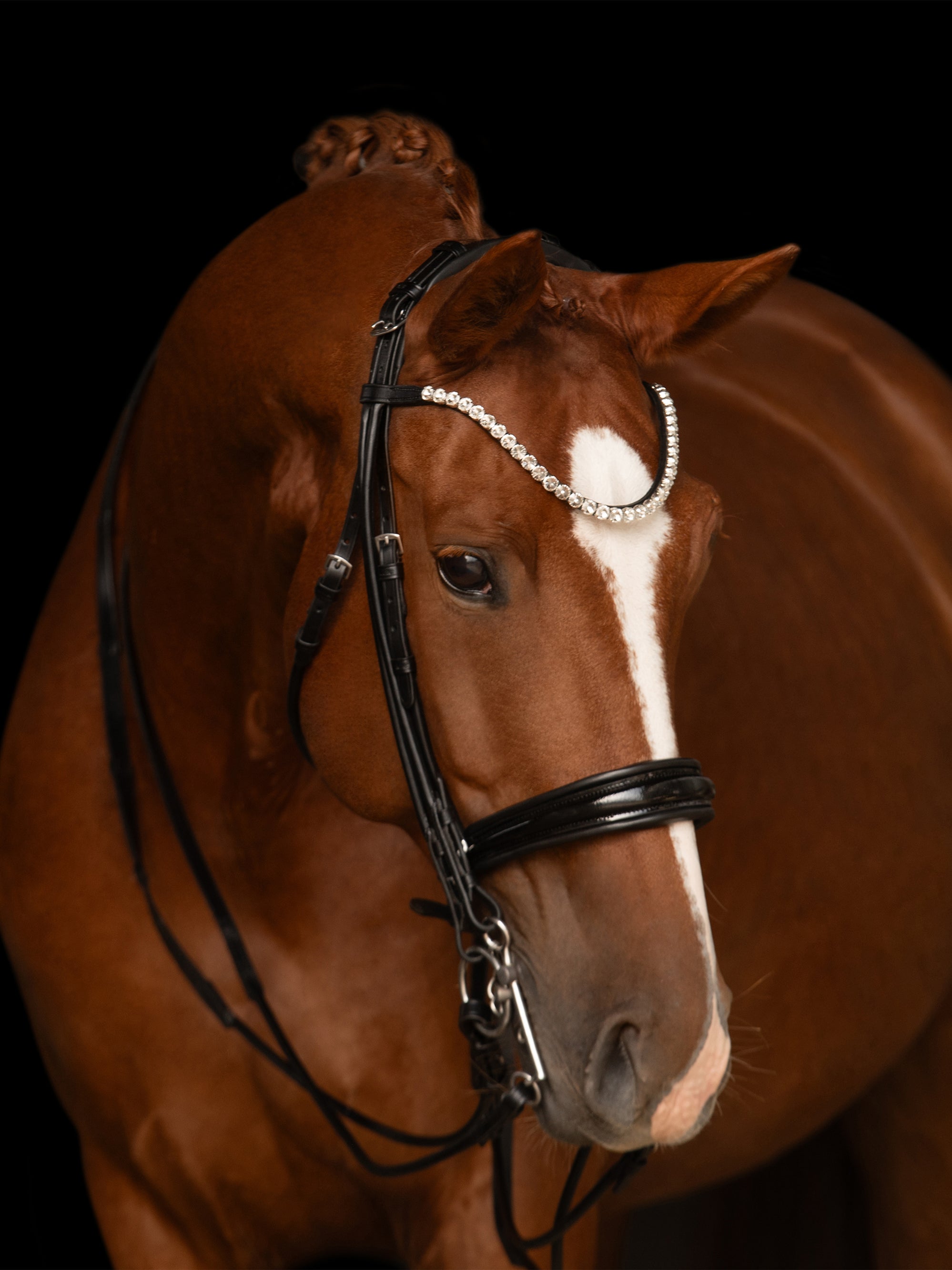 Rundgenähte Kandare Faye in Schwarz am Pferd