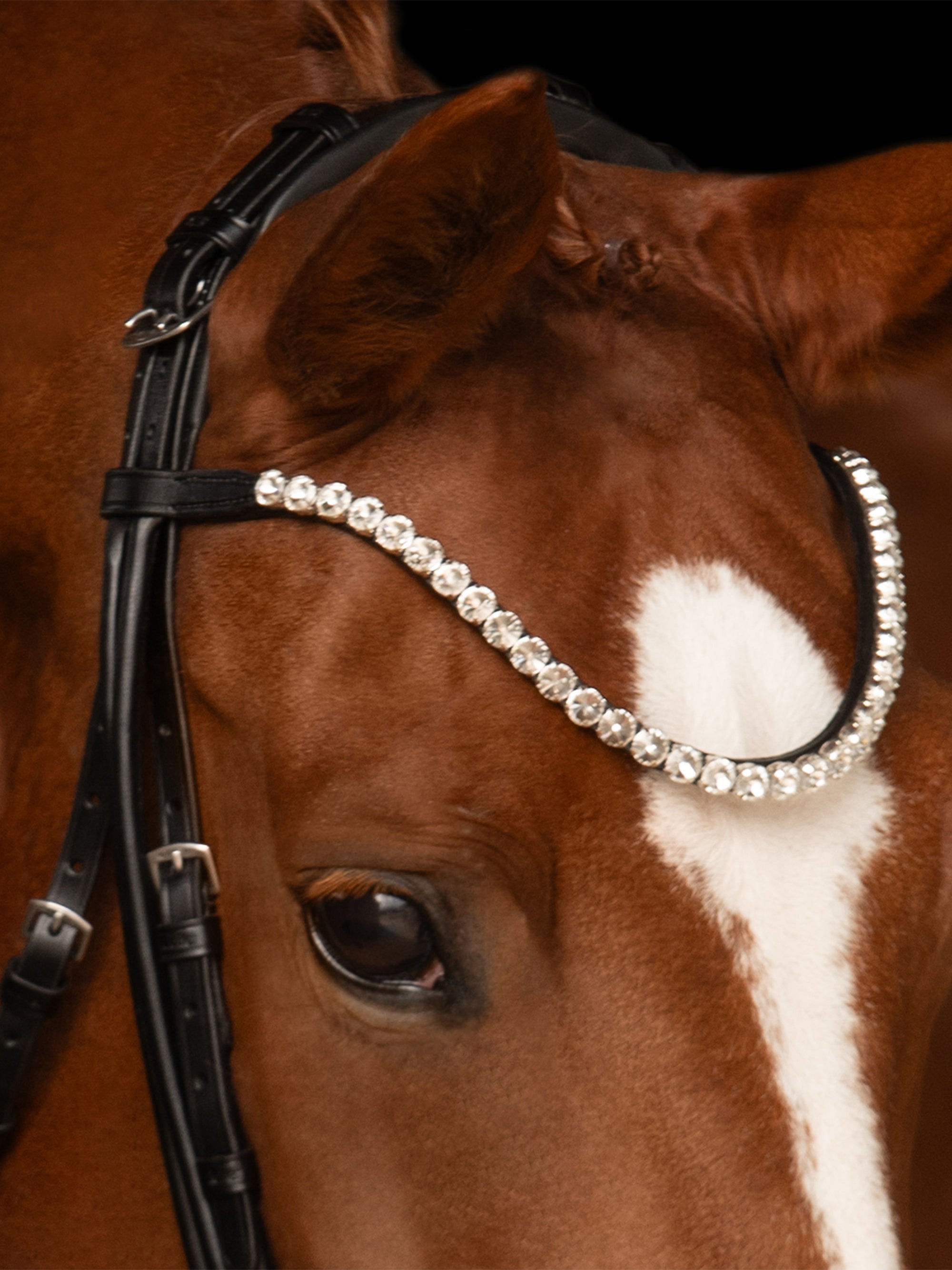Detailfoto von Stirnband und Genickstück der Kandare Faye am Pferd