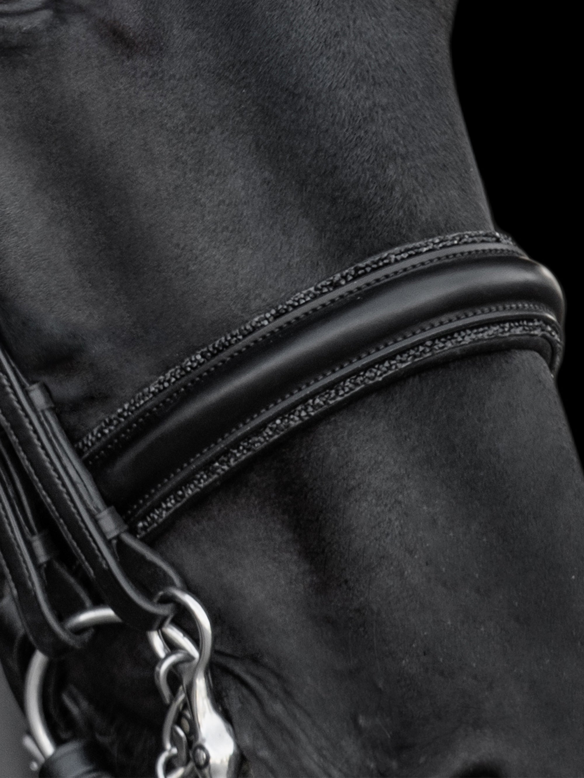 Detailfoto vom Reithalfter der Kandare Grace mit schwarzer Kristallbiese am Pferd