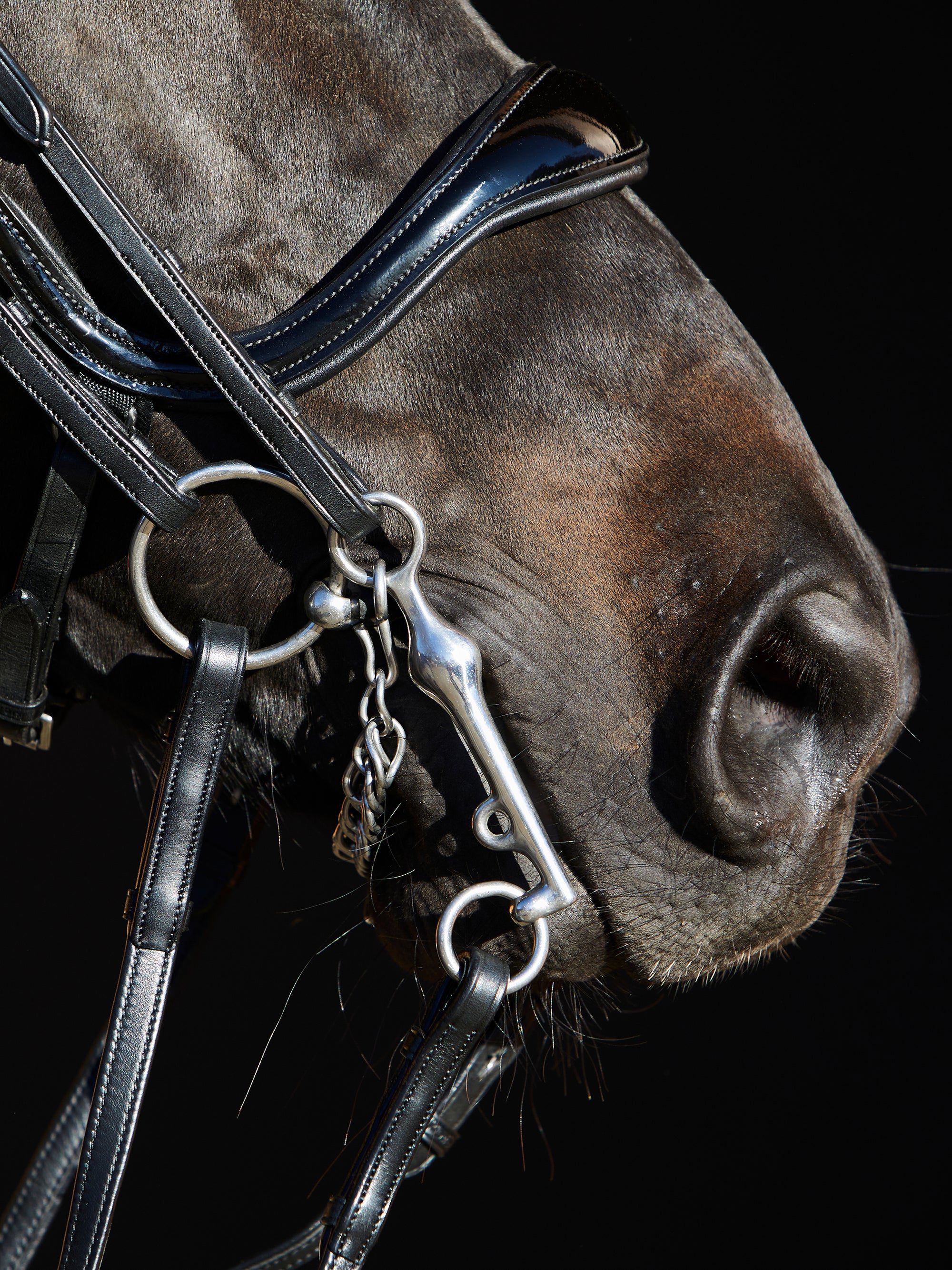 Detailfoto des anatomisch geformtem Lack-Reithalfters der Kandare Kieffer Ultrasoft® Amy am Pferd