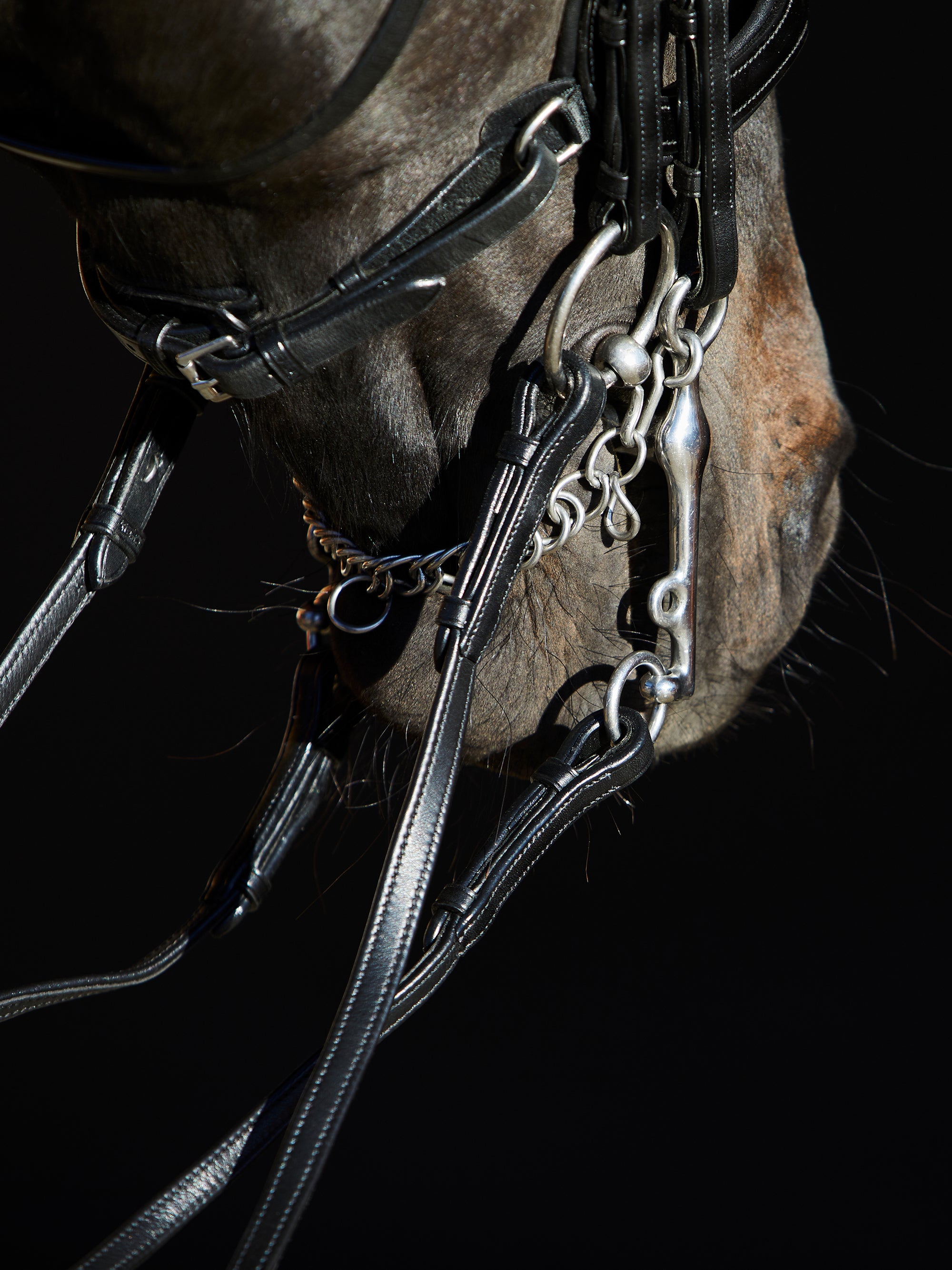 Detailfoto des anatomisch geformtem Lack-Reithalfters der Kandare Kieffer Ultrasoft® Amy am Pferd