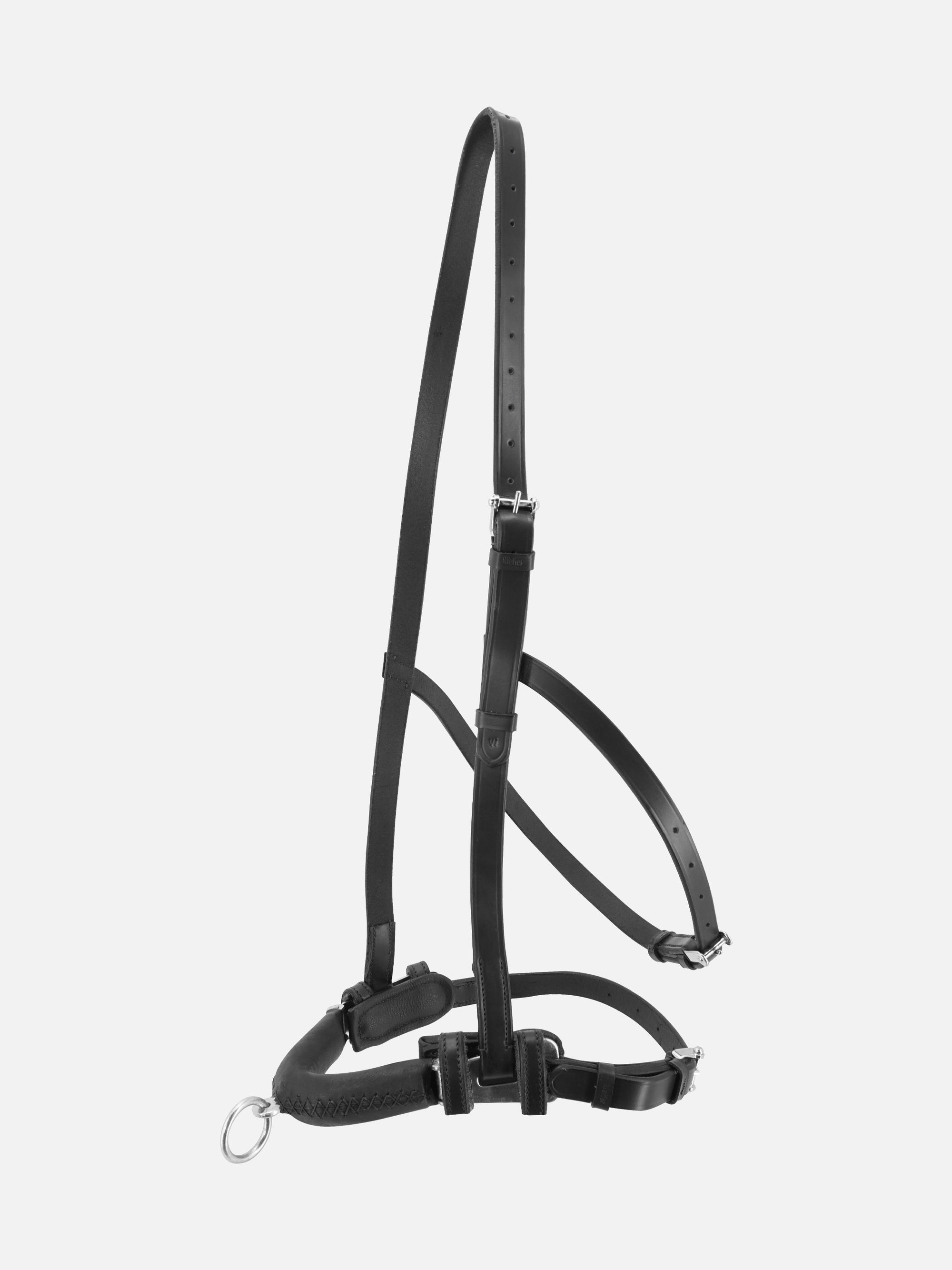 Kappzaum Anja Beran in Schwarz mit Chrombeschlägen