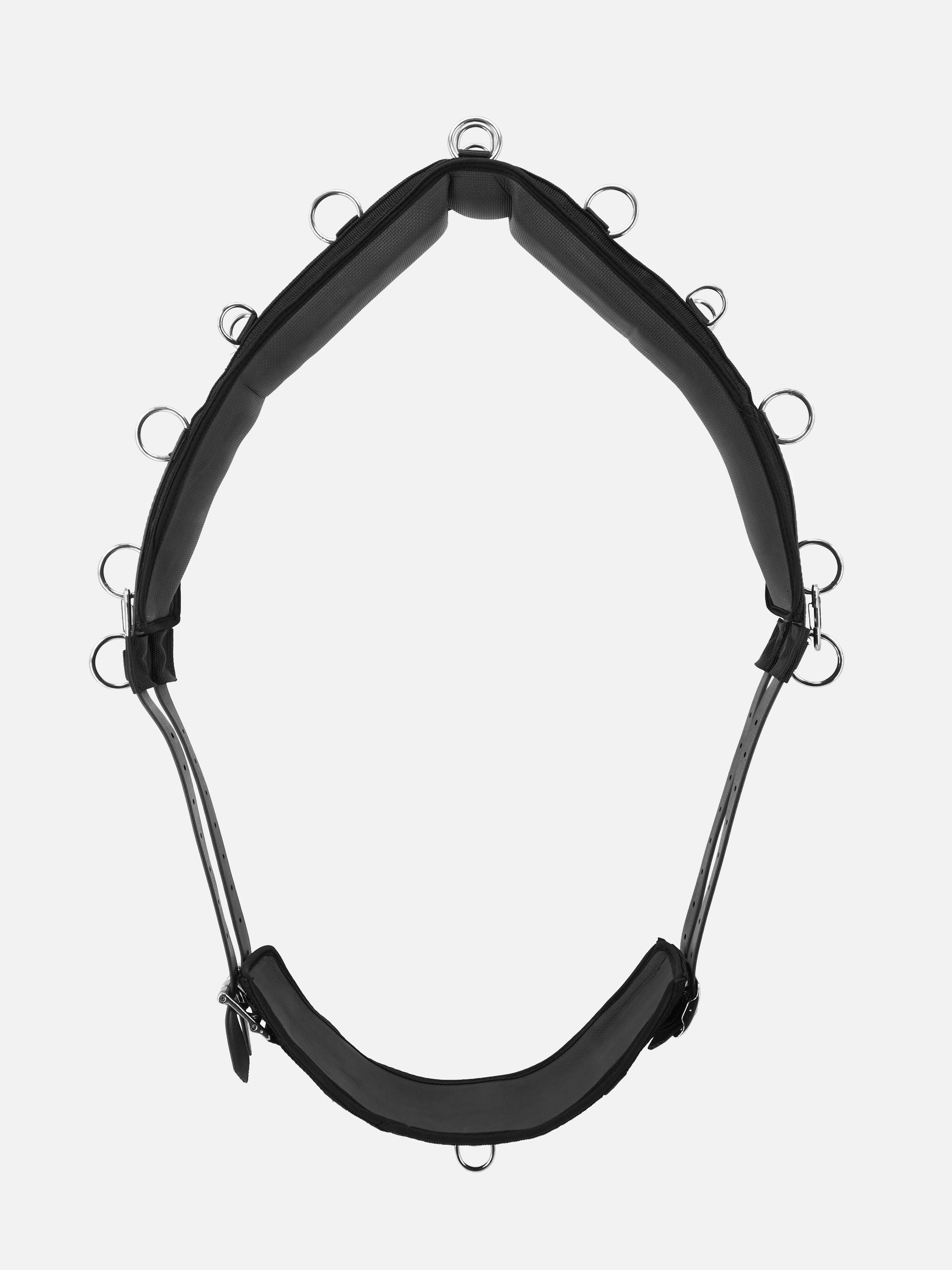 Vorderansicht gepolsterter Nylon-Longiergurt in Schwarz mit Chrombeschlägen