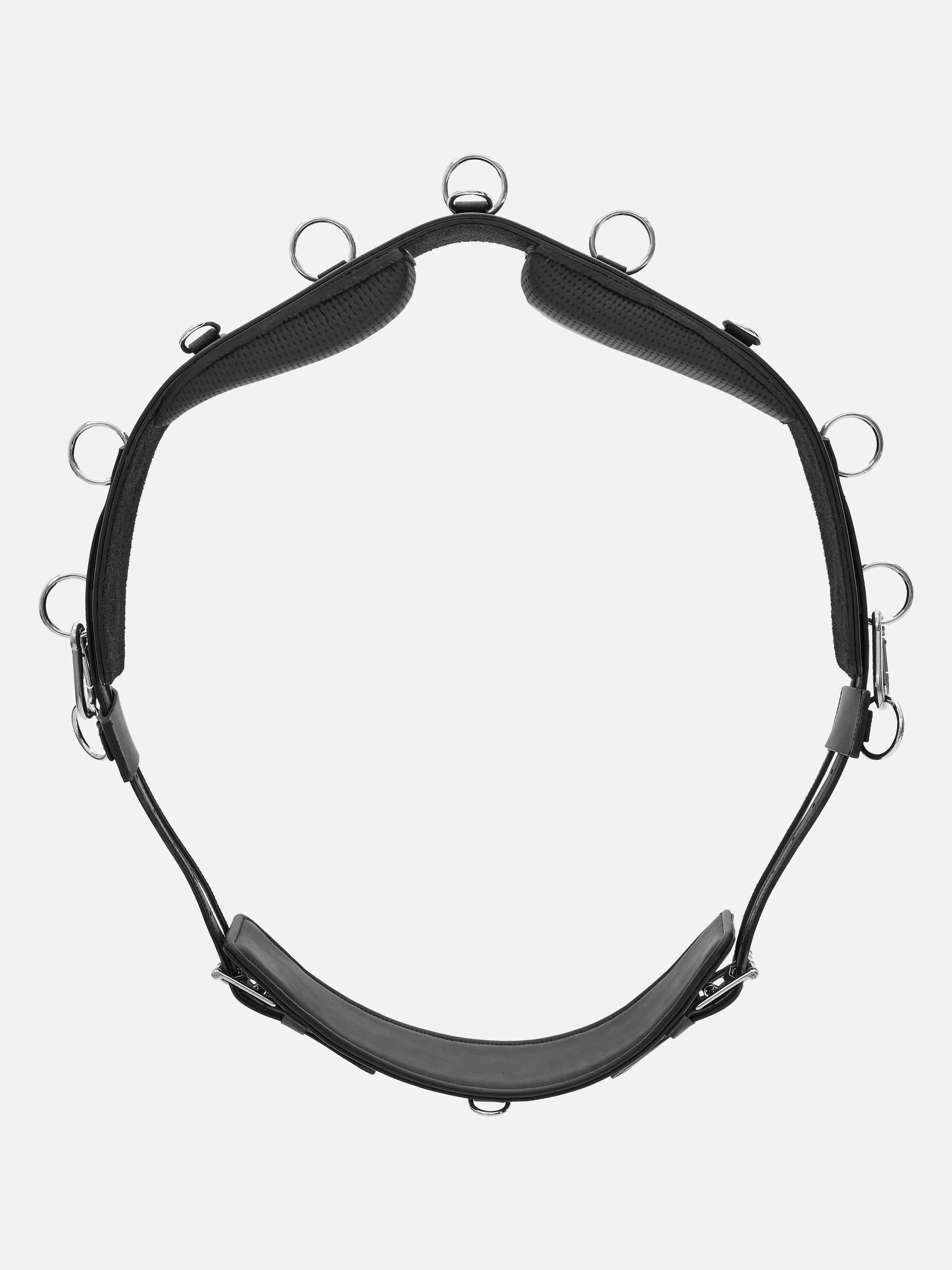 Longiergurt FlexiFit SECU Pro mit Kopfeisen und kleinen Klettpolstern aus antiallergenem Secu-Material in Schwarz mit Chrombeschlägen