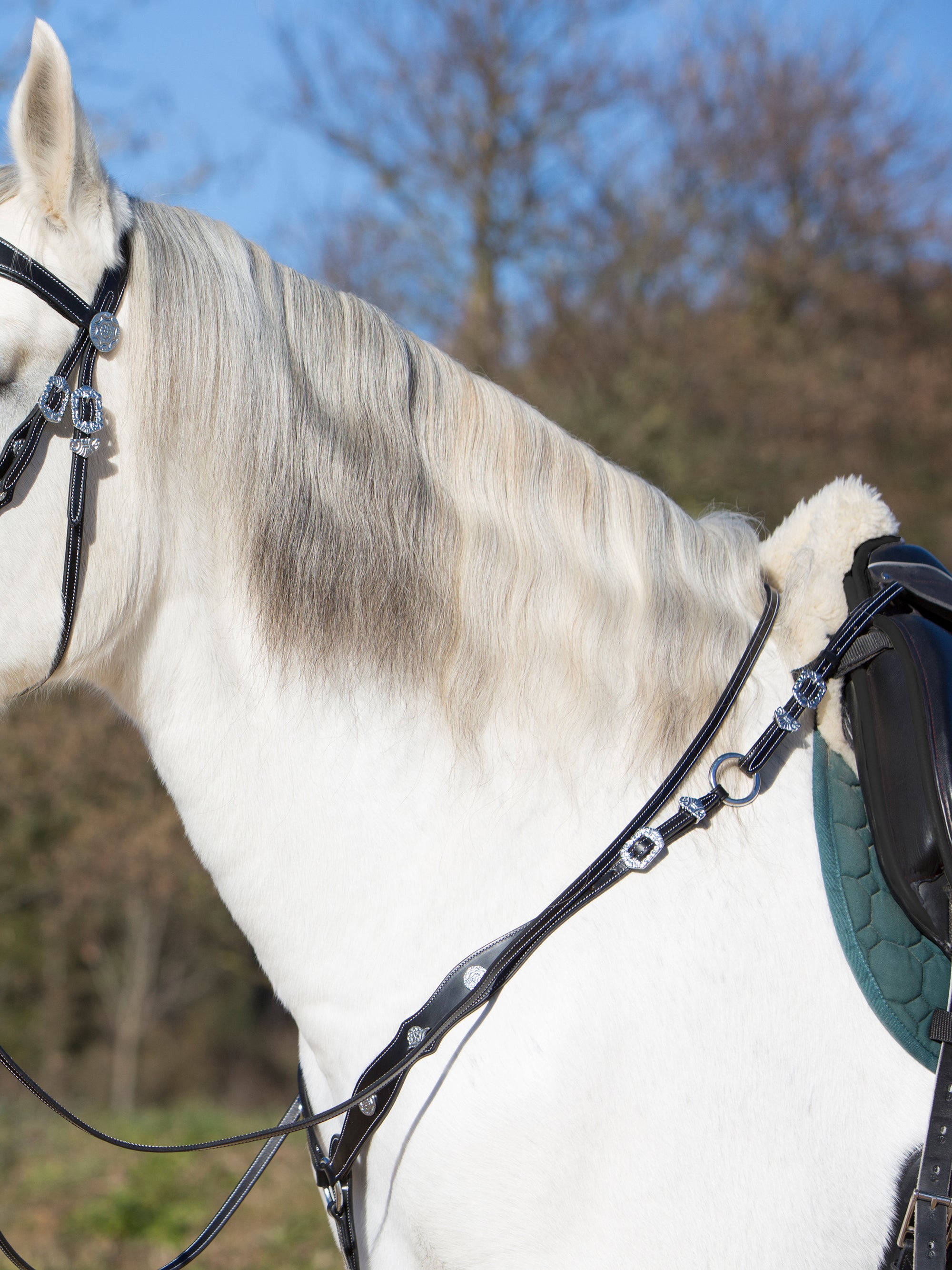 Details vom 3-Punkt-Vorderzeug Isabella am Pferd