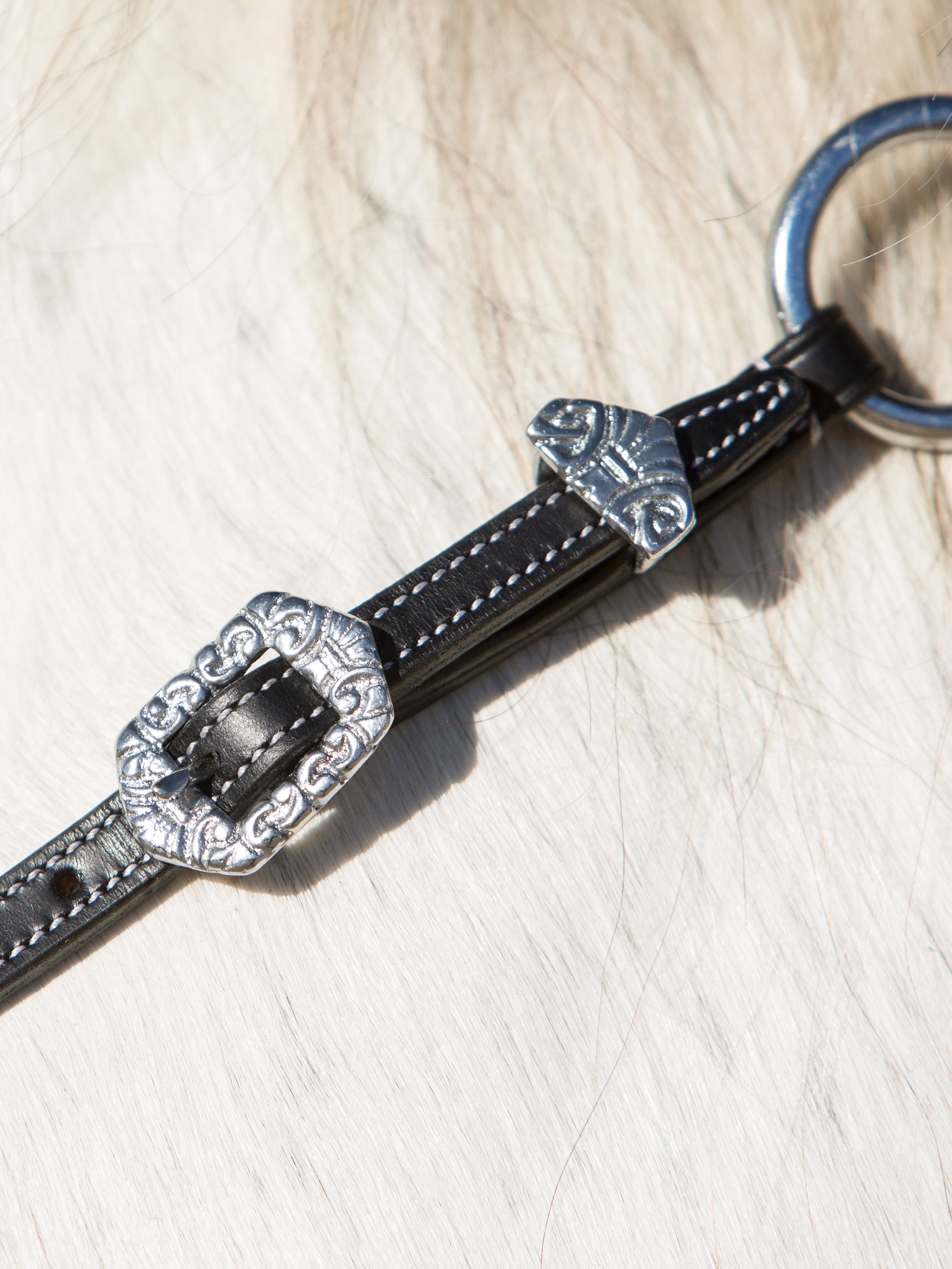 Detailfoto vom 3-Punkt-Vorderzeug Isabella am Pferd