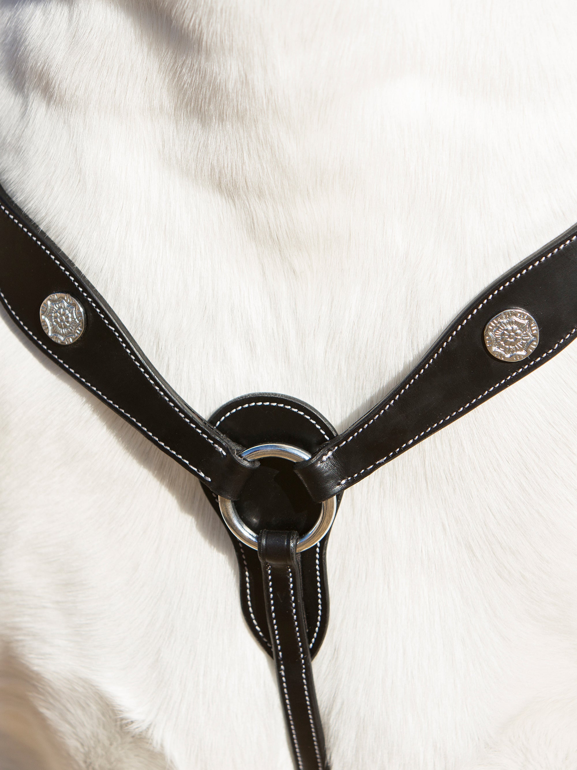 Detailfoto vom 3-Punkt-Vorderzeug Isabella am Pferd: Brustpolster