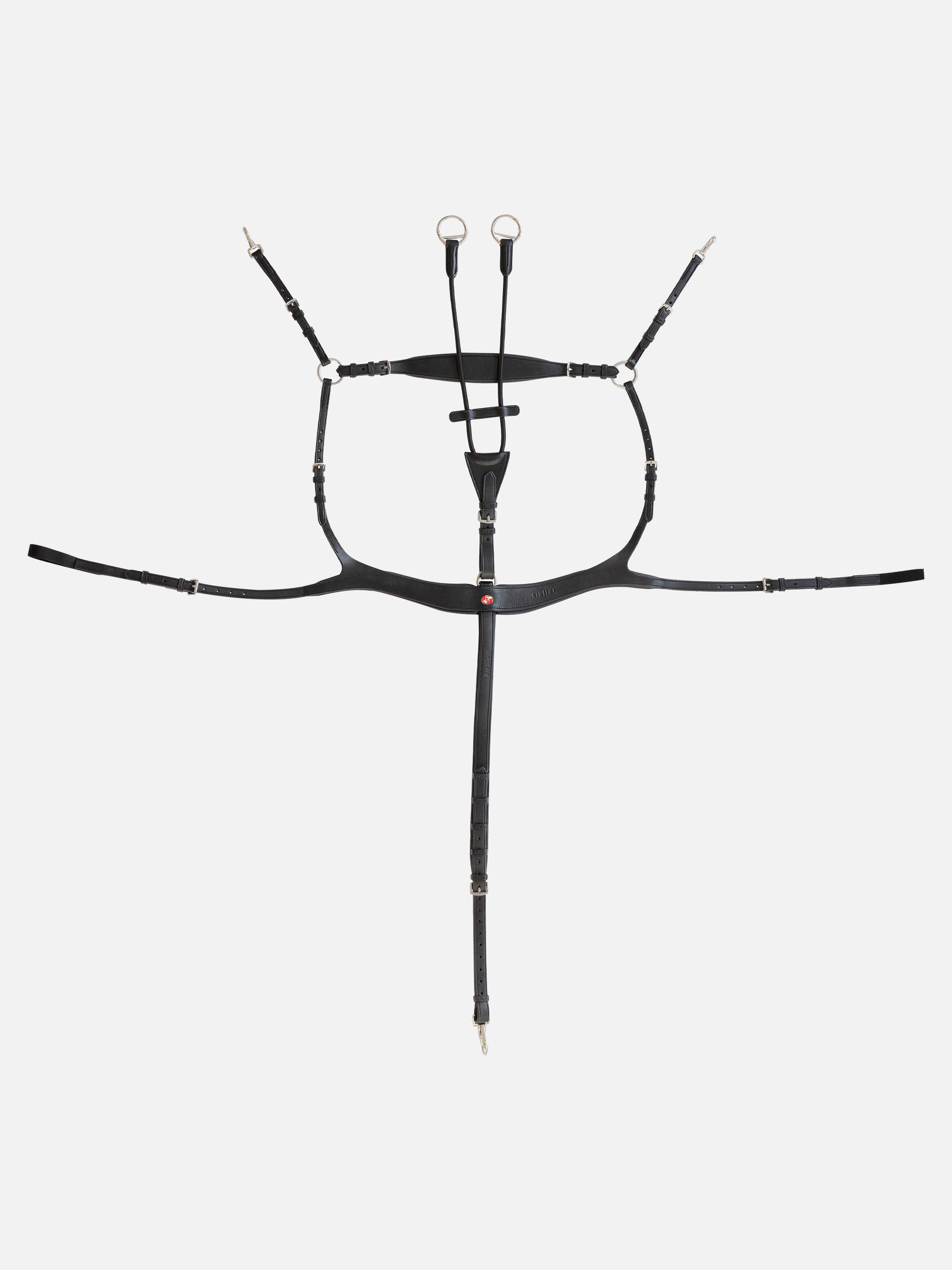 5-Punkt-Vorderzeug Palmanova in Schwarz mit Chrombeschlägen