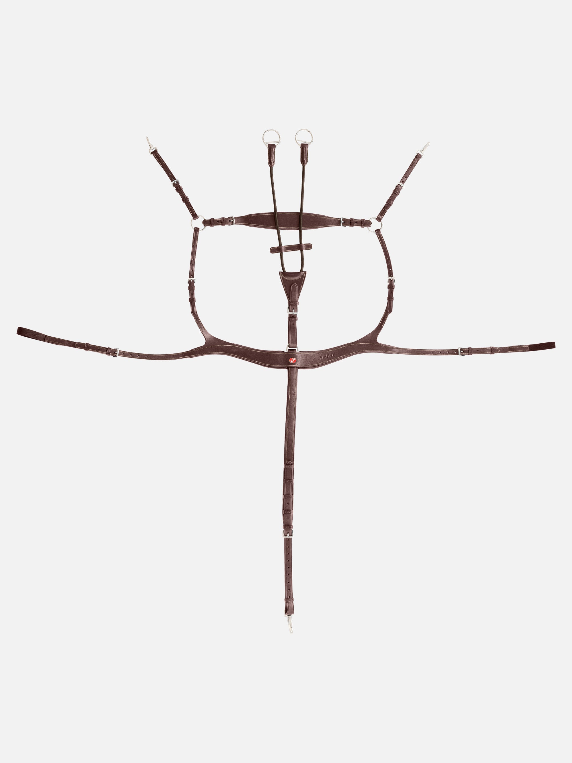 5-Punkt-Vorderzeug Palmanova in Chestnut mit Chrombeschlägen