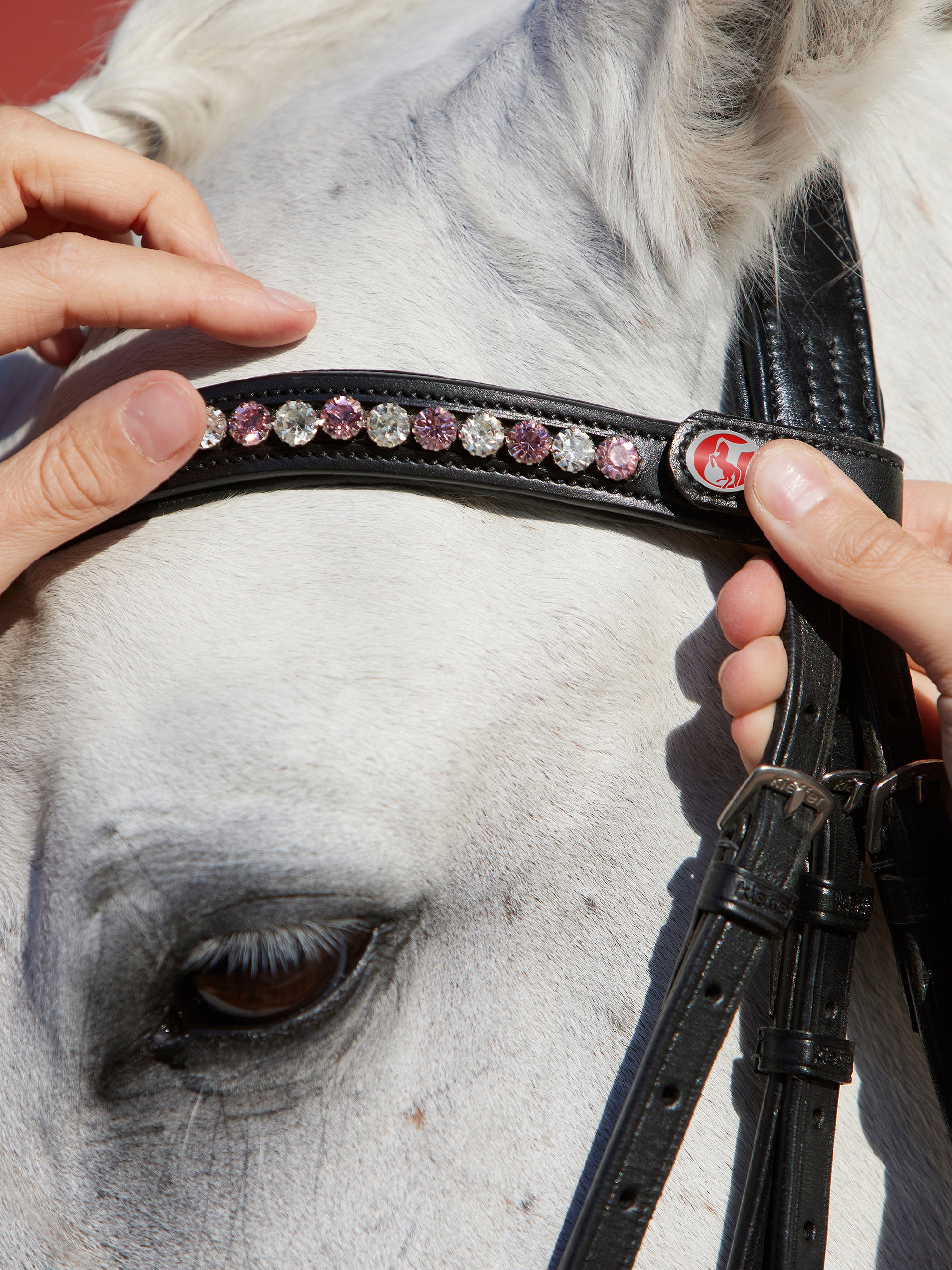 Einfacher und schneller Stirnbandtausch dank FlexiLoop-System mit praktischem Drucknopf