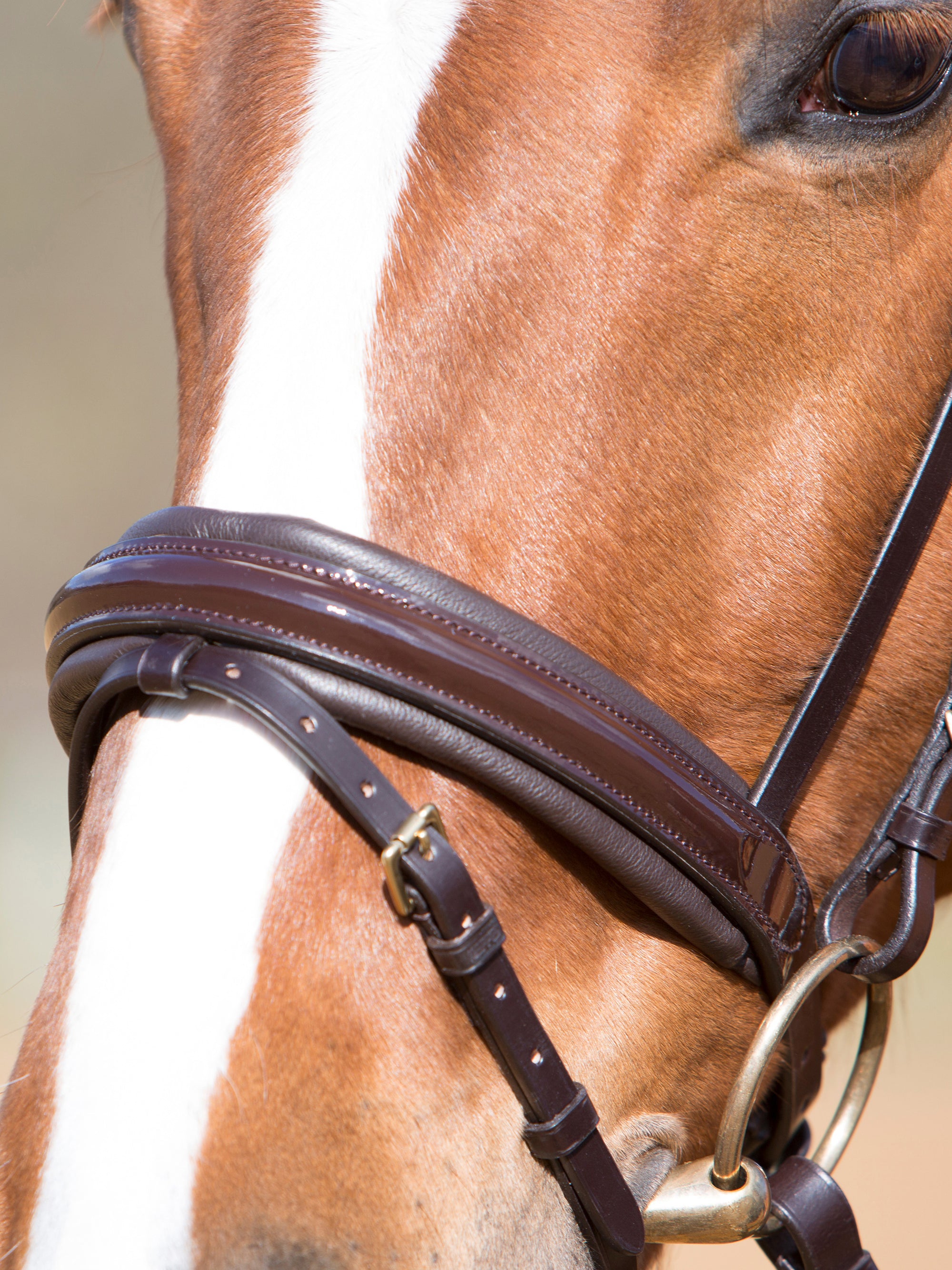 Englisch kombiniertes Lack-Reithalfter Comfort Paris II in Braun mit Messingbeschlägen