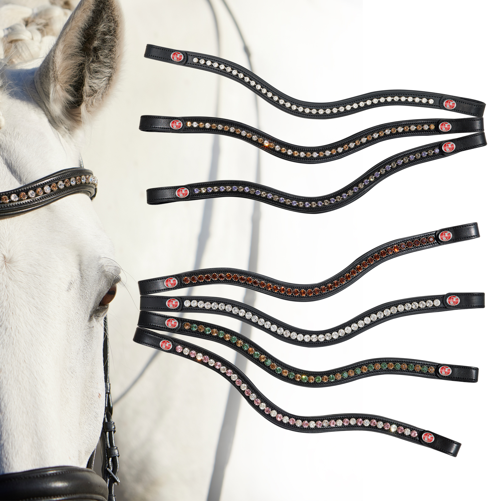 Browbands > Browband Kieffer FlexiLoop® Kieffer EN